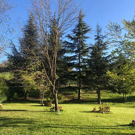Apartment Borretta Serramazzoni